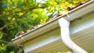 How Often Should My Gutters Be Cleaned Out