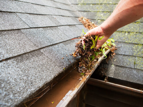 Gutter services in Foley, AL