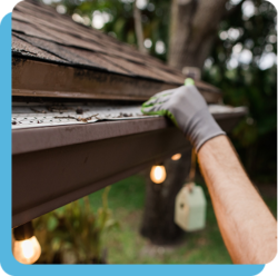 gutter cleaning